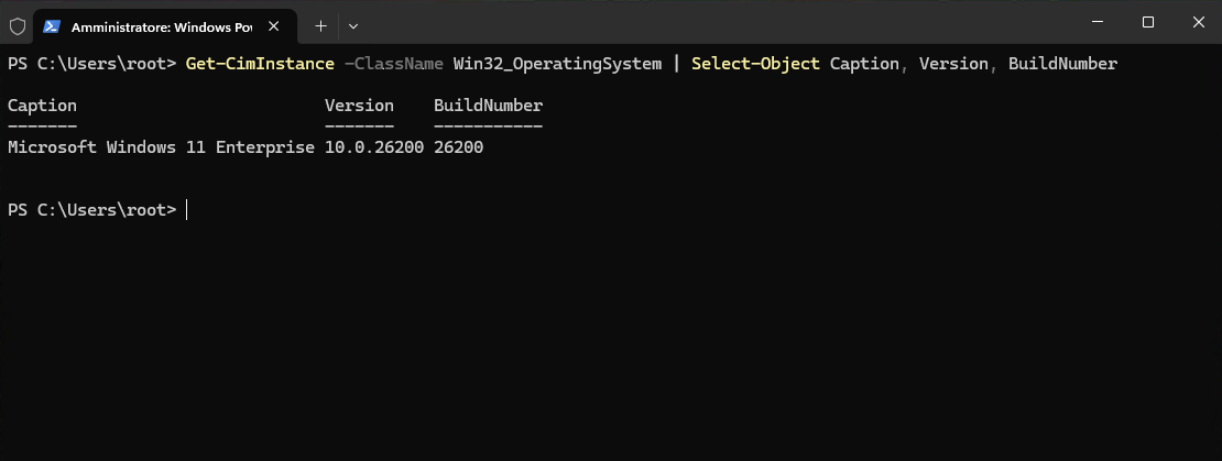 Verifica versione Windows 11